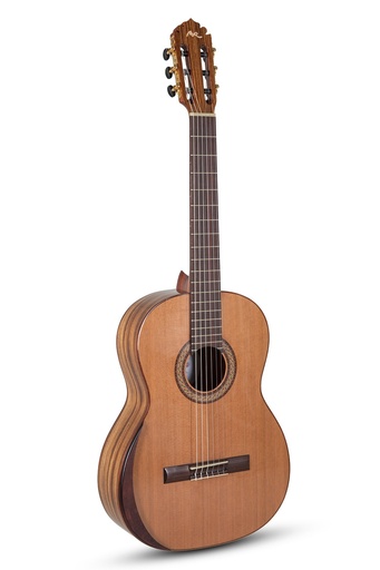 [501180] Chitarra classica Manuel Rodriguez Serie Academia AC40 Zebrano